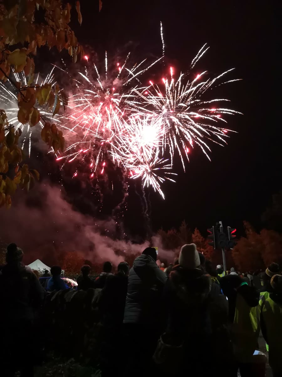 Fireworks display with crowd watching