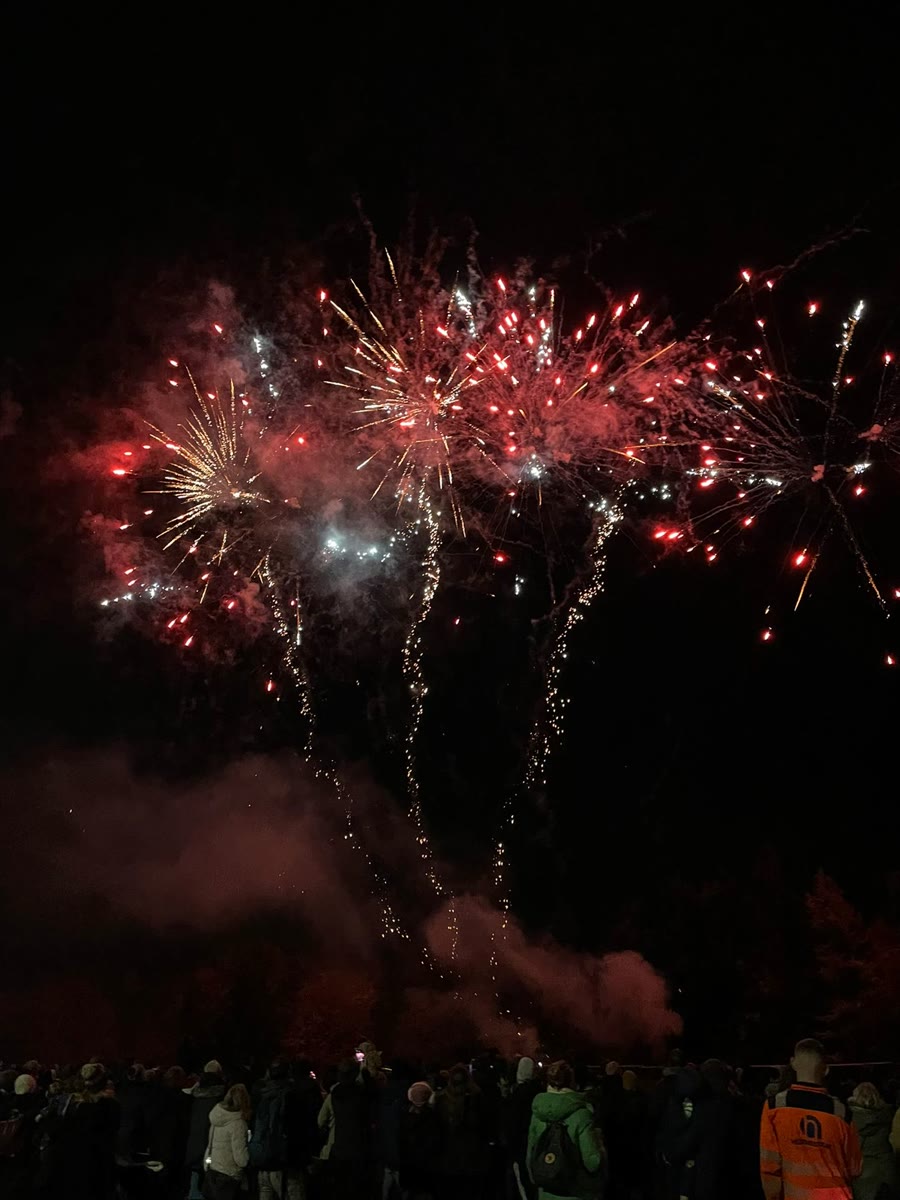 Colorful fireworks lighting up the sky
